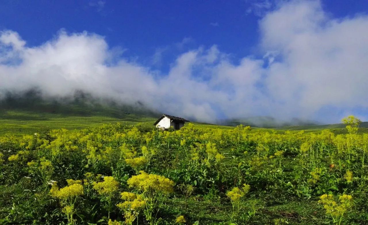 皇木鎮(zhèn)·壹間房，住進(jìn)云霧間愛上一座城