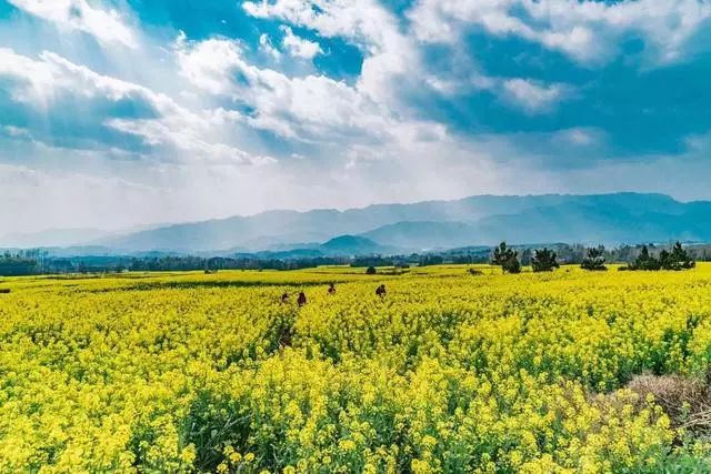 安之若宿·山，建一小屋與你晨鐘暮鼓