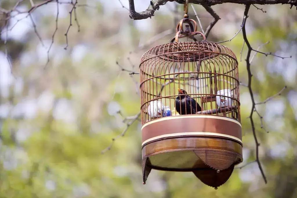 中國傳統(tǒng)文化有那些？100款中國傳統(tǒng)文化