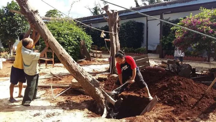 慢點(diǎn)藝術(shù)民宿，世間所有努力都是為了慢點(diǎn)