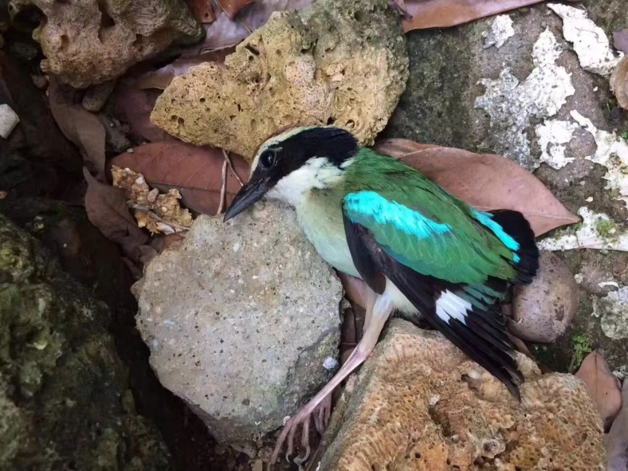 慢點(diǎn)藝術(shù)民宿，世間所有努力都是為了慢點(diǎn)