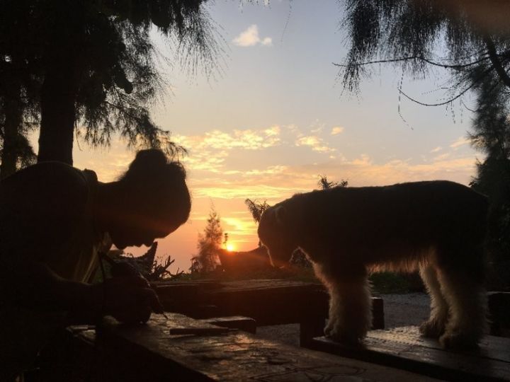 慢點(diǎn)藝術(shù)民宿，世間所有努力都是為了慢點(diǎn)