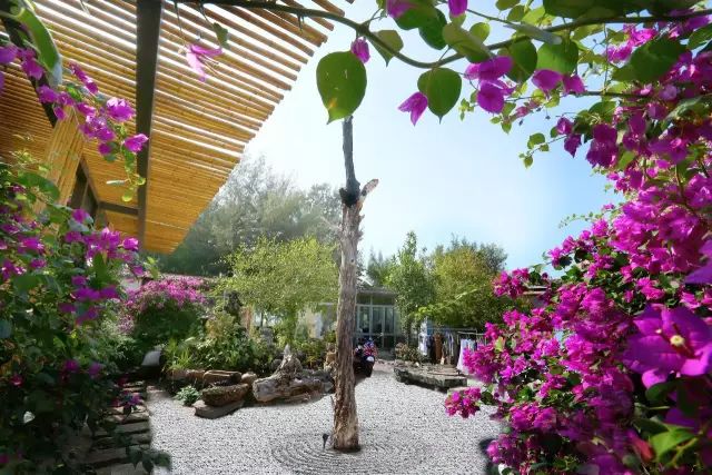 慢點(diǎn)藝術(shù)民宿，世間所有努力都是為了慢點(diǎn)