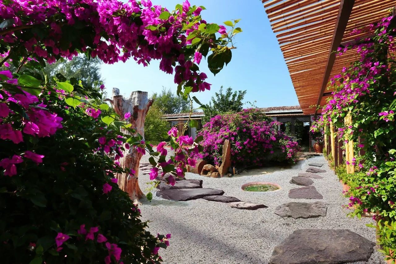 慢點(diǎn)藝術(shù)民宿，世間所有努力都是為了慢點(diǎn)