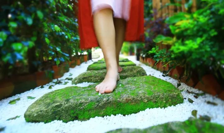 慢點藝術(shù)民宿，世間所有努力都是為了慢點