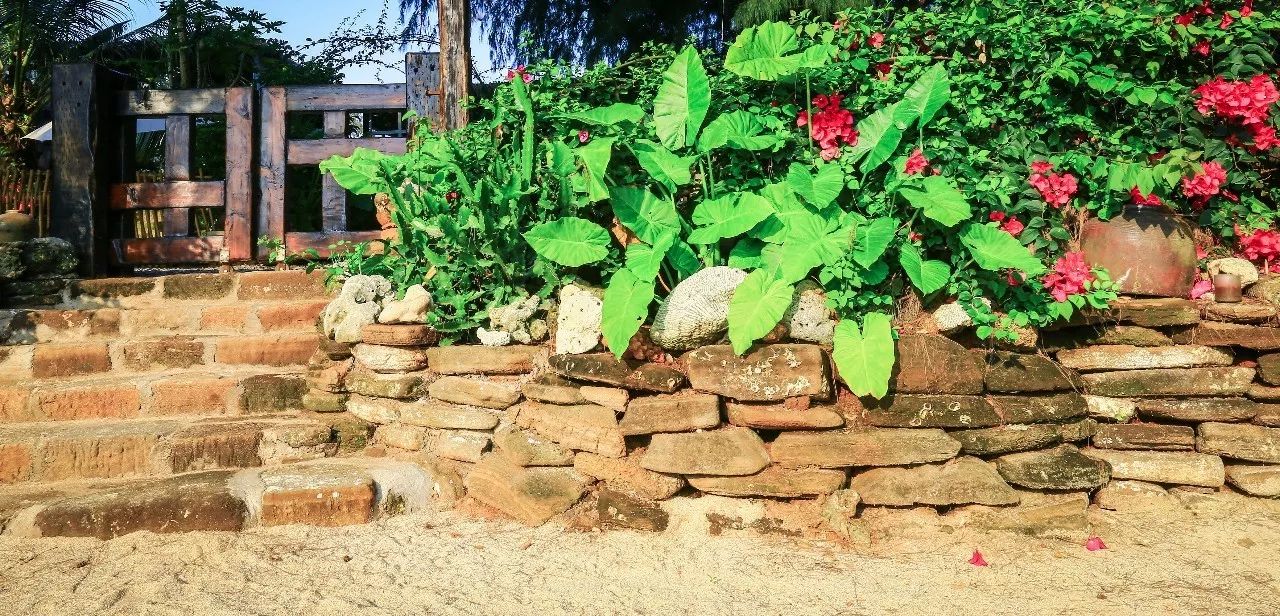 慢點藝術(shù)民宿，世間所有努力都是為了慢點