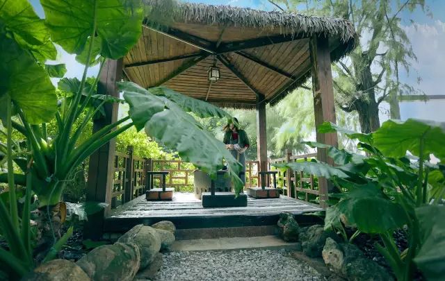 慢點(diǎn)藝術(shù)民宿，世間所有努力都是為了慢點(diǎn)