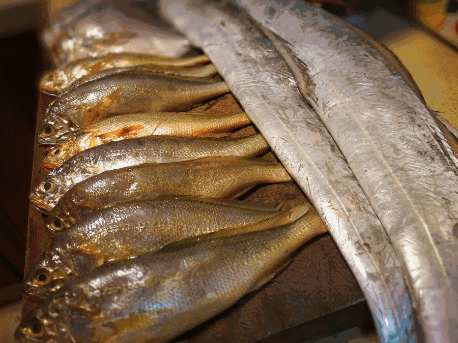 寧波·走點(diǎn)灣路，人生總需要走點(diǎn)彎路才能柳暗花