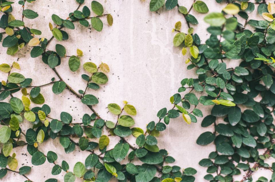 杭州·棲遲，還是那個(gè)獨(dú)一無(wú)二的黑白灰