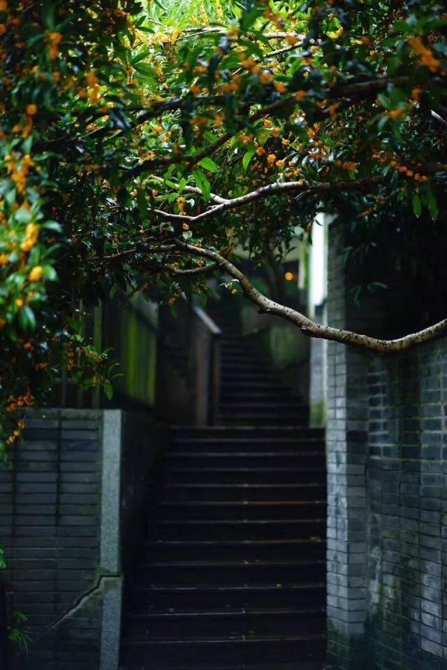 杭州·棲遲，還是那個(gè)獨(dú)一無(wú)二的黑白灰