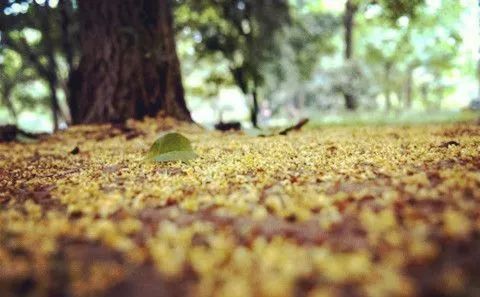 杭州·棲遲，還是那個(gè)獨(dú)一無(wú)二的黑白灰