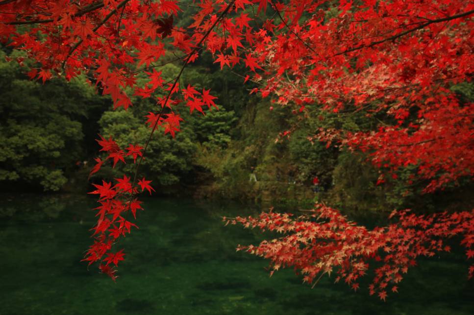 杭州·棲遲，還是那個獨一無二的黑白灰