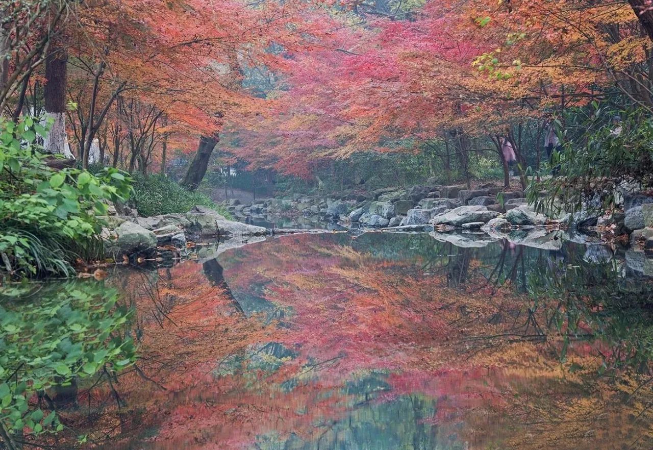 杭州·棲遲，還是那個獨一無二的黑白灰