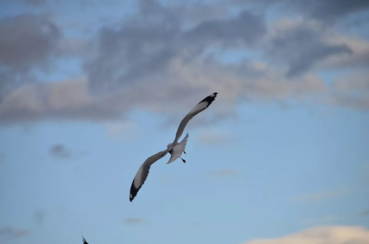 瀘沽湖·野火集，時(shí)光匆忙別錯(cuò)過年輕的瘋狂