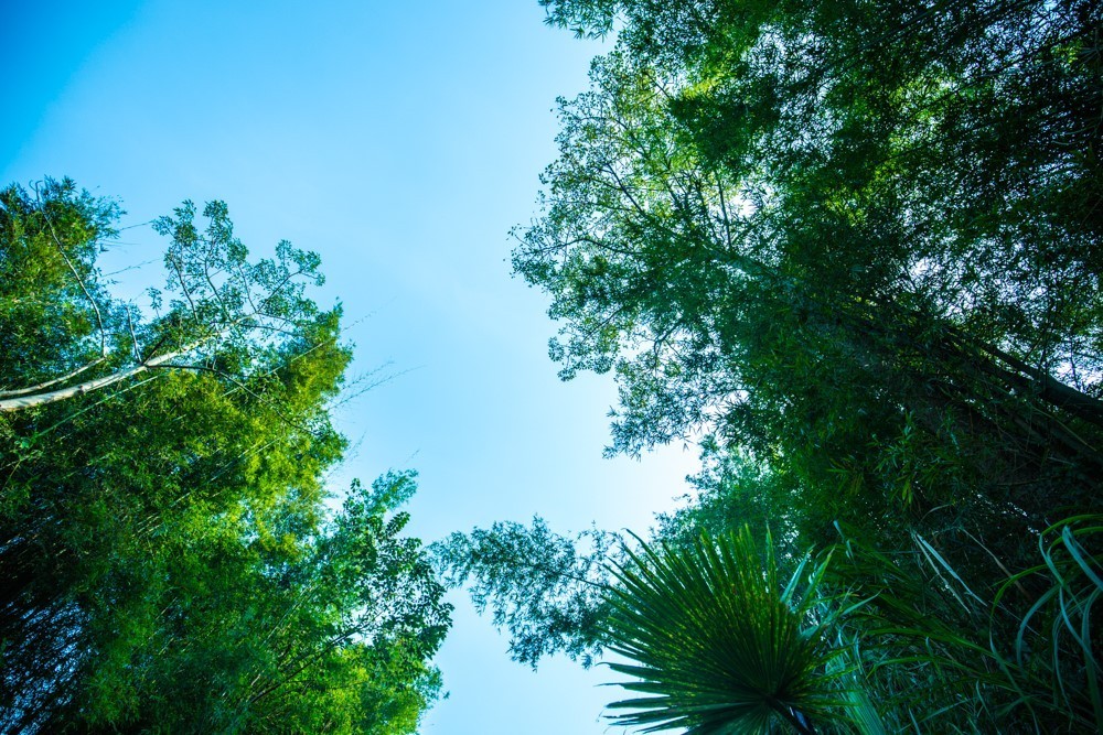 時(shí)光島，一間讓“時(shí)光倒流”300畝獨(dú)島民宿