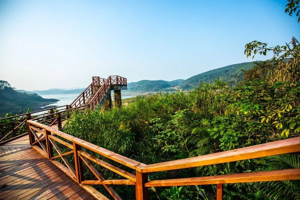 時(shí)光島，一間讓“時(shí)光倒流”300畝獨(dú)島民宿