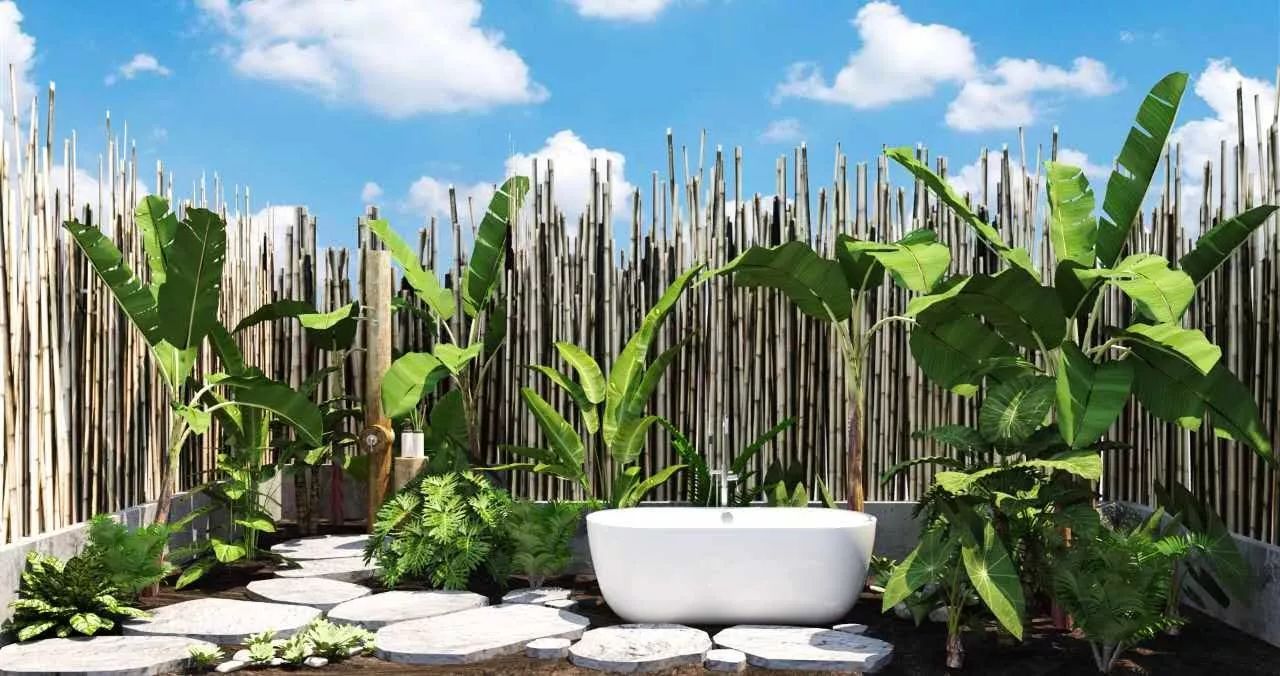 麗水·云逸遠山，在牡丹亭有個仲夏夜之夢