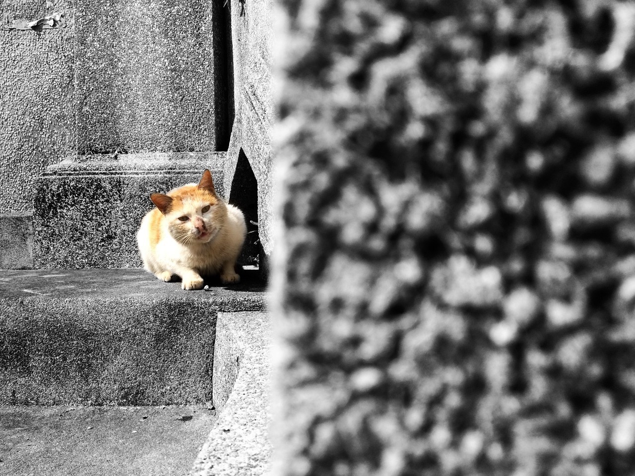 鼓浪嶼·他城一見，生命不息折騰不止