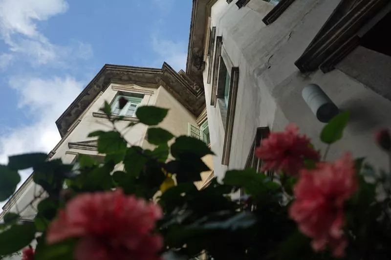 鼓浪嶼·他城一見，生命不息折騰不止