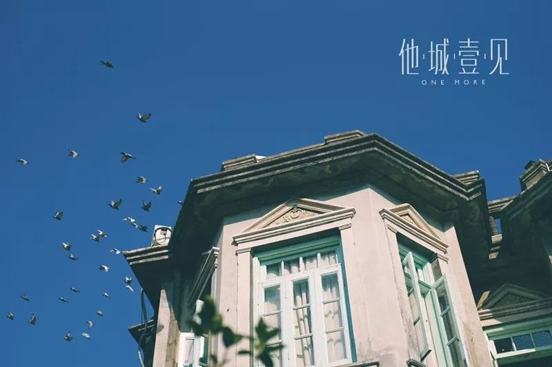鼓浪嶼·他城一見(jiàn)，生命不息折騰不止