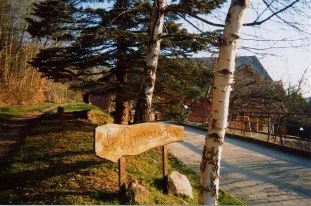 驚呆了，雞窩豬舍馬廄牛棚羊圈變民宿!