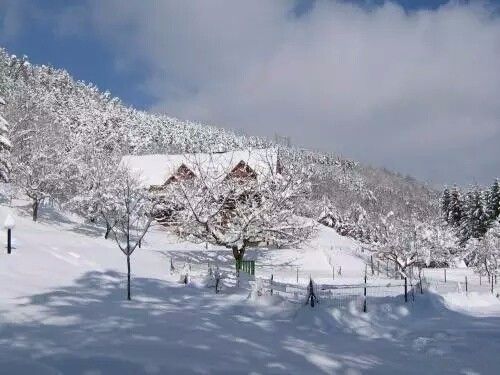 驚呆了，雞窩豬舍馬廄牛棚羊圈變民宿!