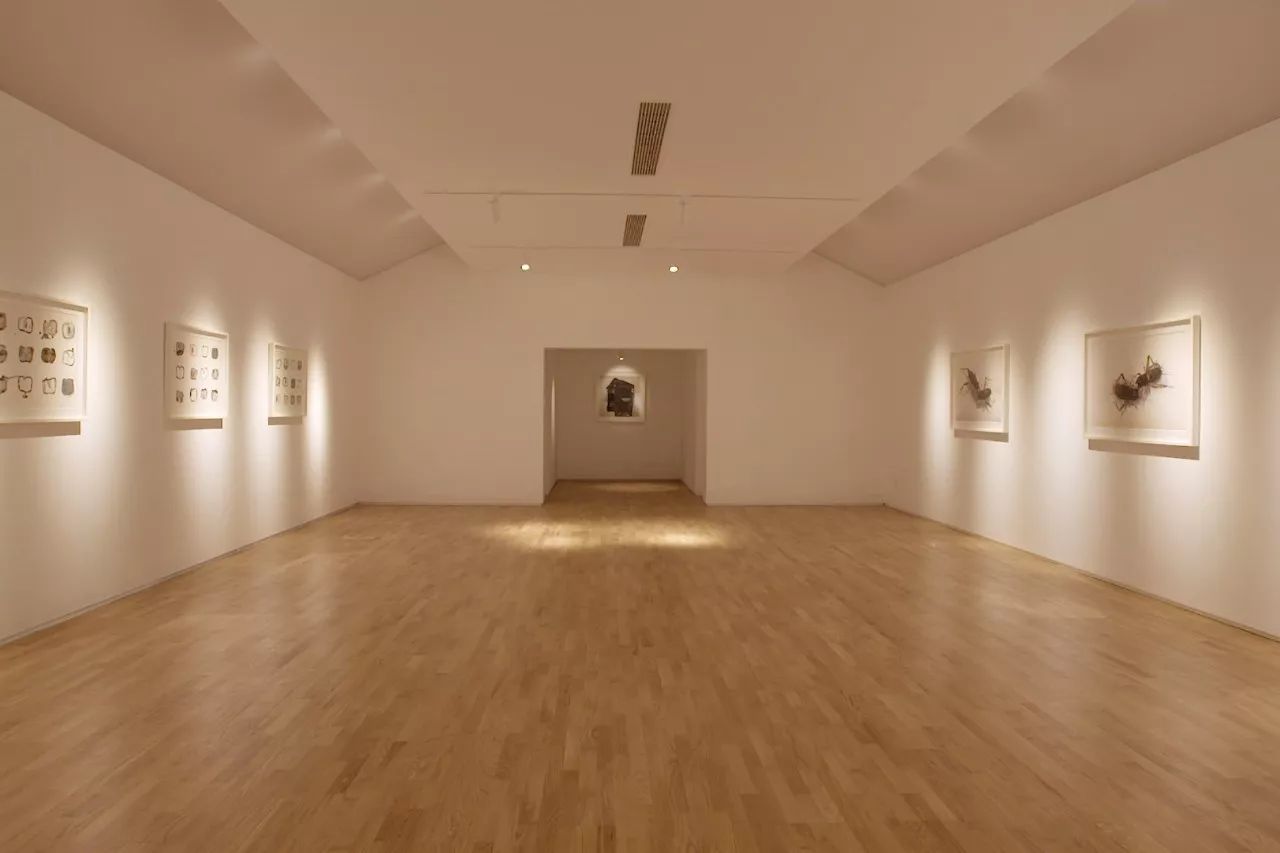 青山周平有熊公寓，一種部落式的共享生活