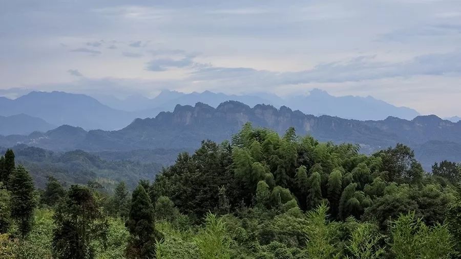 青城山·路之青城，山溝里的豬圈民宿