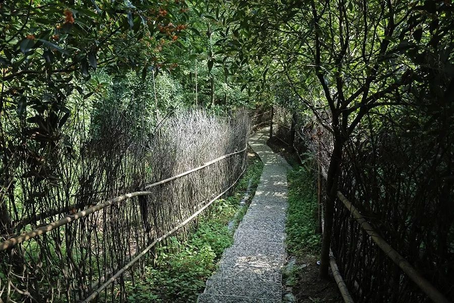 青城山·路之青城，山溝里的豬圈民宿