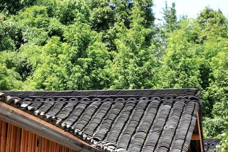 青城山·路之青城，山溝里的豬圈民宿