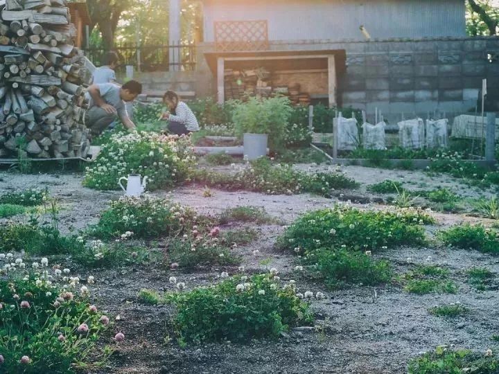 北海道的海濱小鎮(zhèn)，一家四口的日子才最幸福