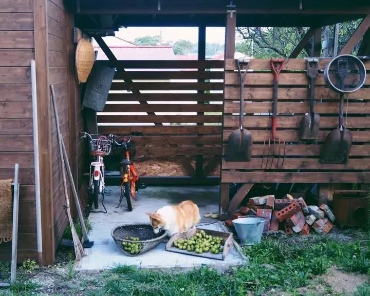 北海道的海濱小鎮(zhèn)，一家四口的日子才最幸福