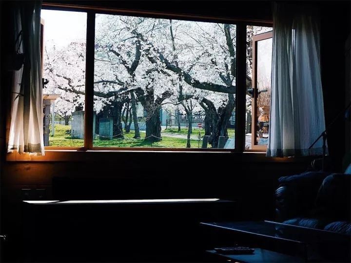 北海道的海濱小鎮(zhèn)，一家四口的日子才最幸福