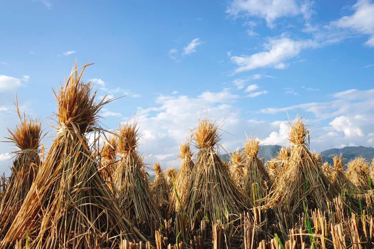 漫宿·見山，在古鎮(zhèn)享受寧?kù)o而恬淡的時(shí)光