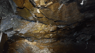 莫干山·趣舍一棵樹，置身山中與山林萬物相連
