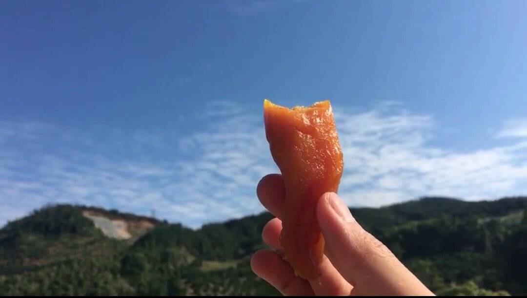 莫干山·趣舍一棵樹，置身山中與山林萬物相連