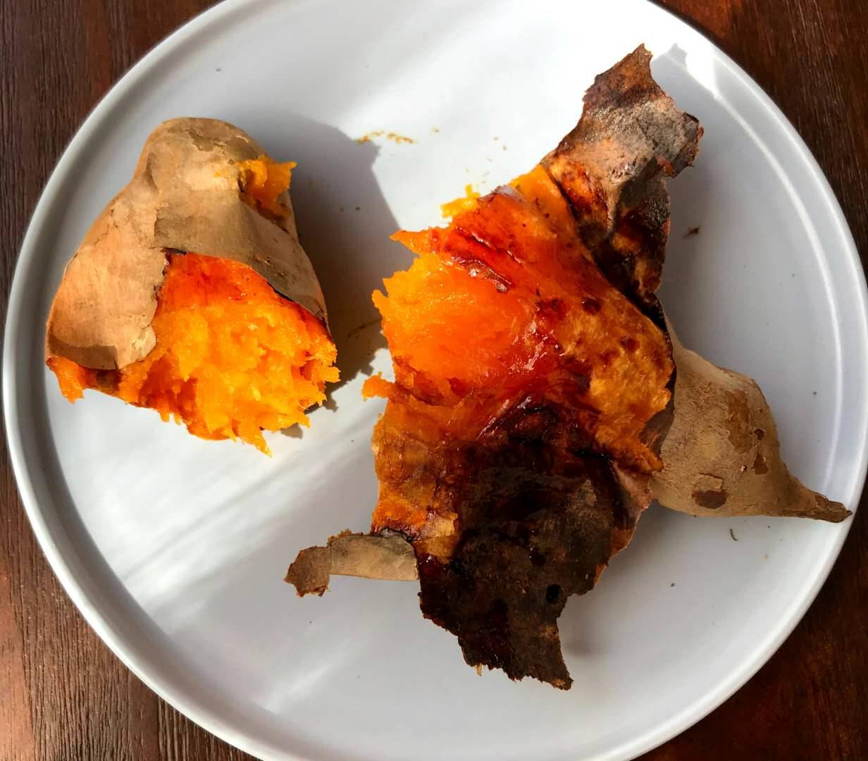 莫干山·趣舍一棵樹，置身山中與山林萬物相連