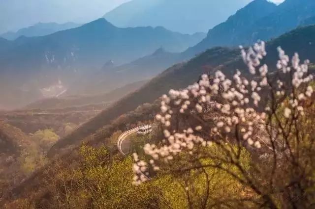 北京·山楂小院，留住最土的鄉(xiāng)味和溫暖的人心