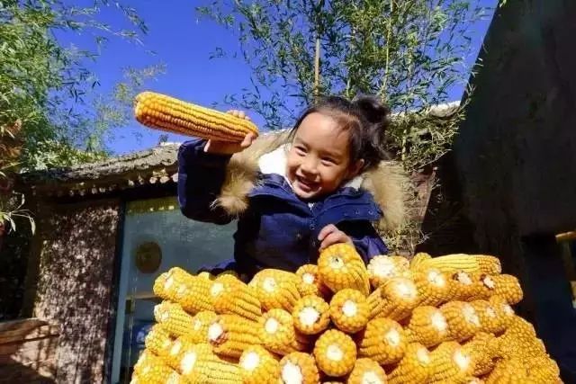 北京·山楂小院，留住最土的鄉(xiāng)味和溫暖的人心