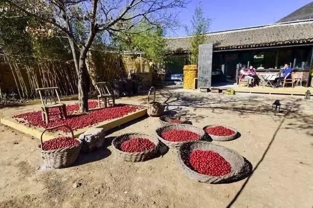 北京·山楂小院，留住最土的鄉(xiāng)味和溫暖的人心