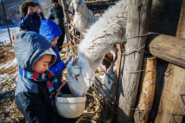 北京·山楂小院，留住最土的鄉(xiāng)味和溫暖的人心