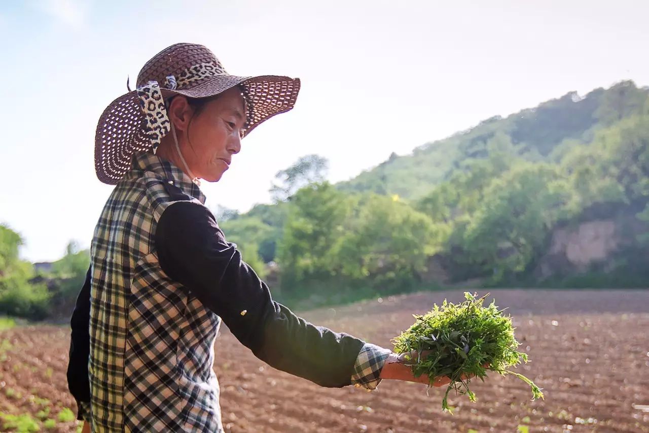 北京·山楂小院，留住最土的鄉(xiāng)味和溫暖的人心