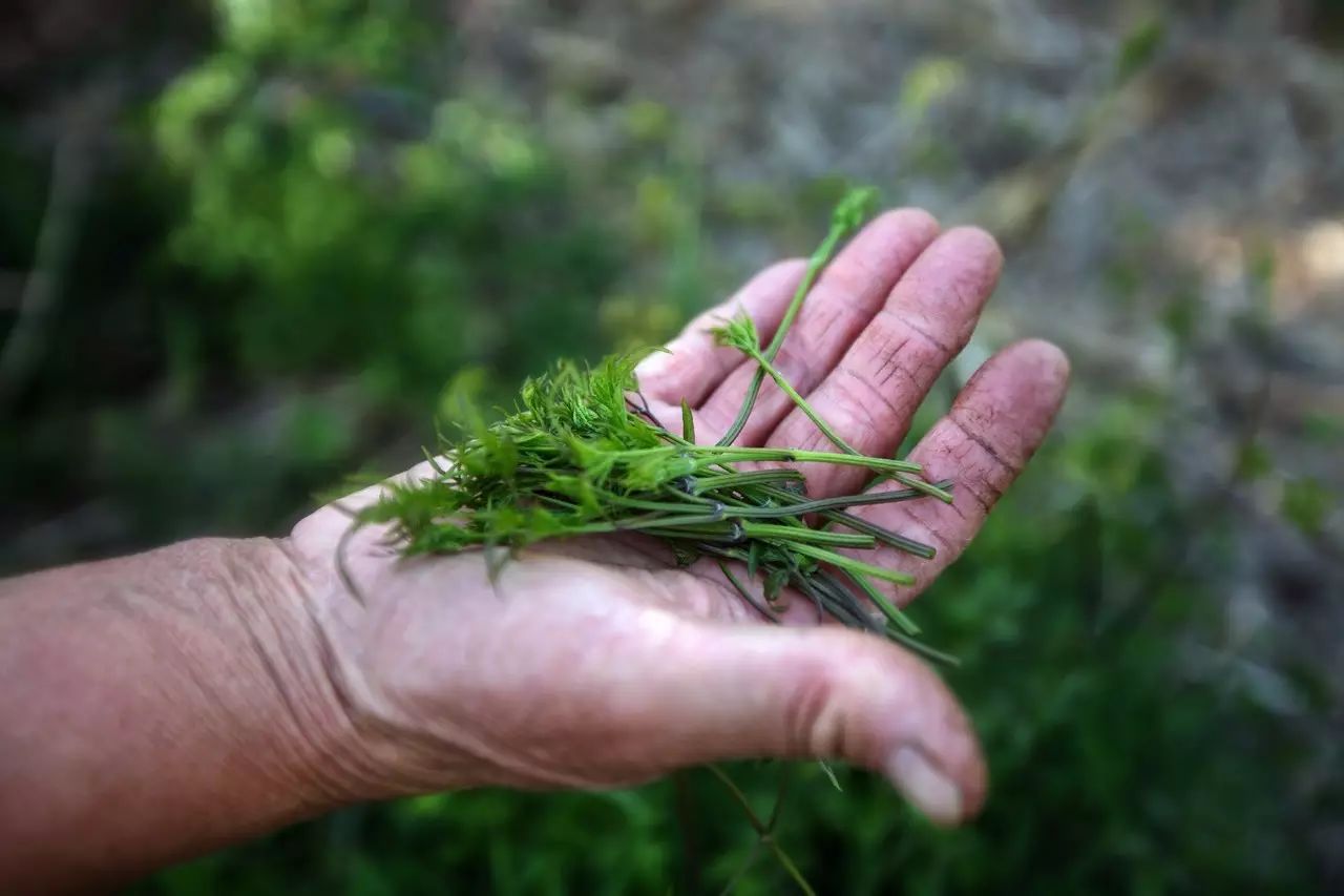 北京·山楂小院，留住最土的鄉(xiāng)味和溫暖的人心