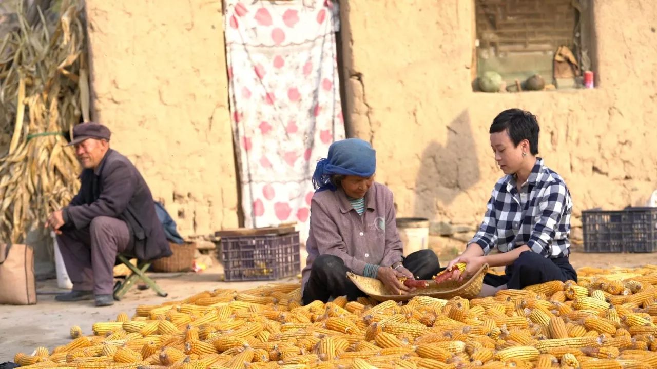 黃河·宿集，你想要的快意江湖就在這里