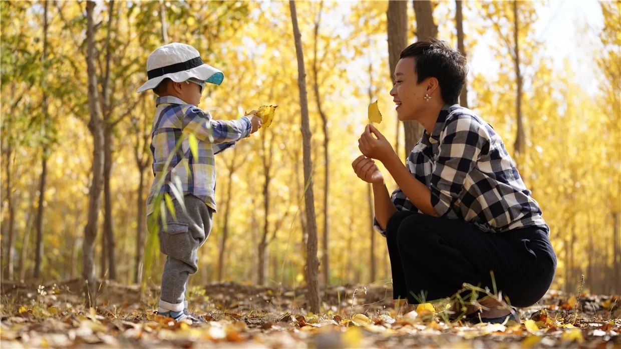 黃河·宿集，你想要的快意江湖就在這里