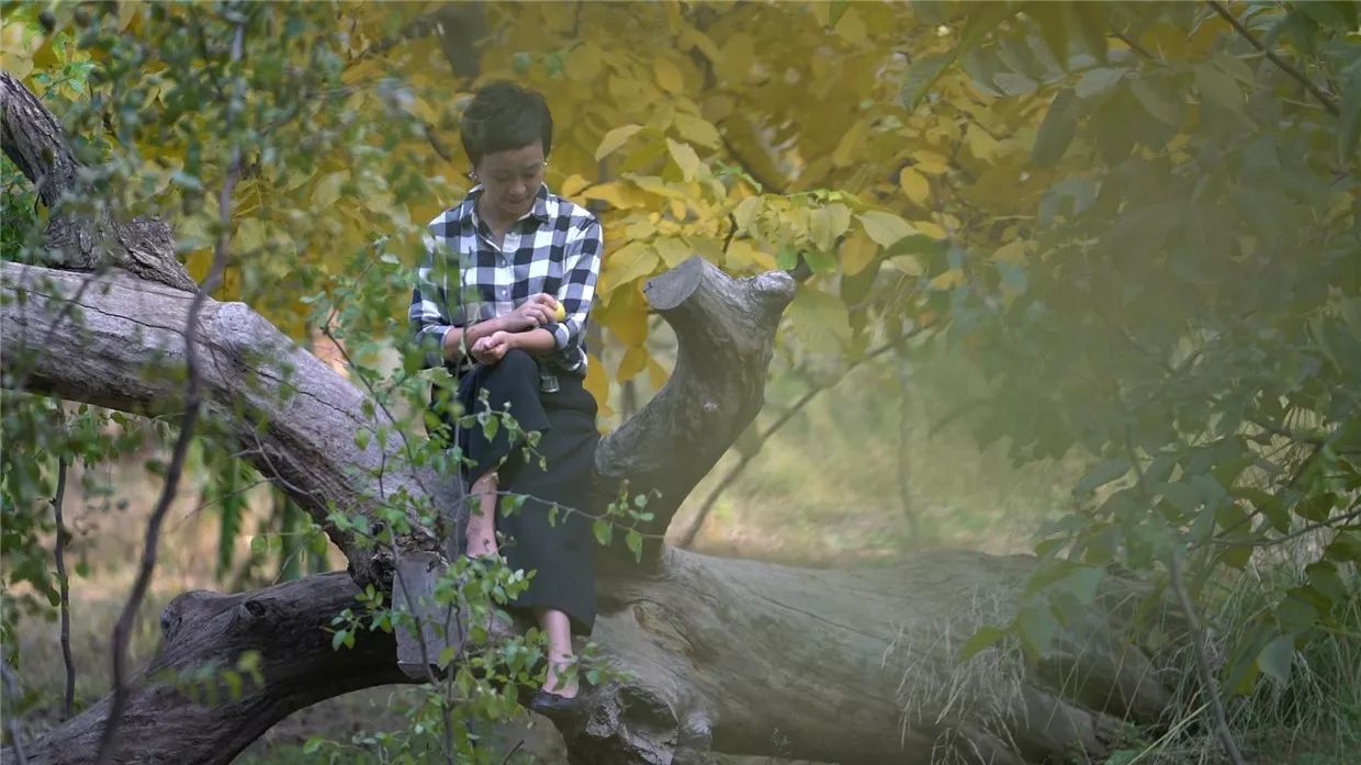 黃河·宿集，你想要的快意江湖就在這里