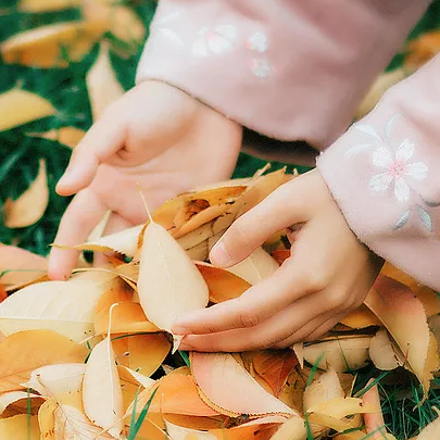 落葉飄粉衣女生頭像，唯美古風(fēng)真人頭像