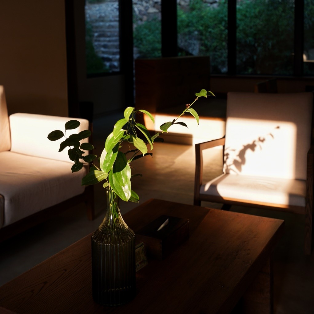 莫干山·三秋美宿，一日不見三秋盼兮