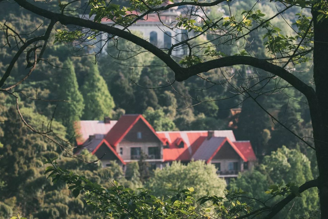 莫干山·三秋美宿，一日不見三秋盼兮