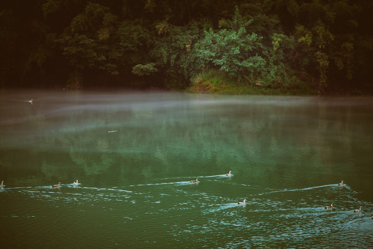 莫干山·三秋美宿，一日不見三秋盼兮